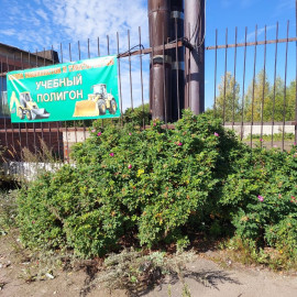 bxy38oE9BxizqHWRVCUs249y9ku1WeCwvBZkbapr3jPtJZa6XAVjc9s6qk2gwAb6Ri2y99BYEKuKuqHIWrd-yNTT